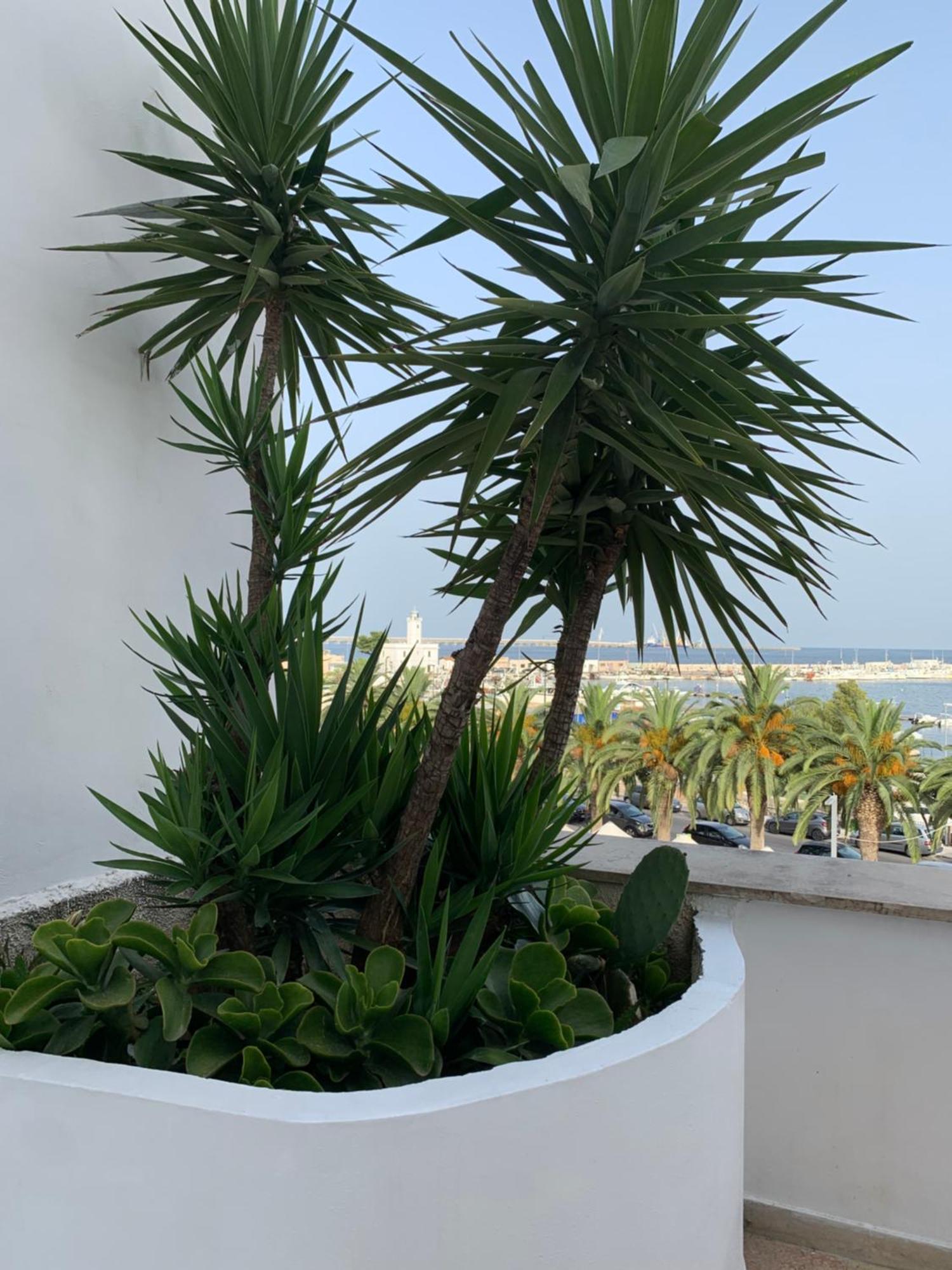 Terrazza Diomede- Manfredi Homes & Casa de Férias *